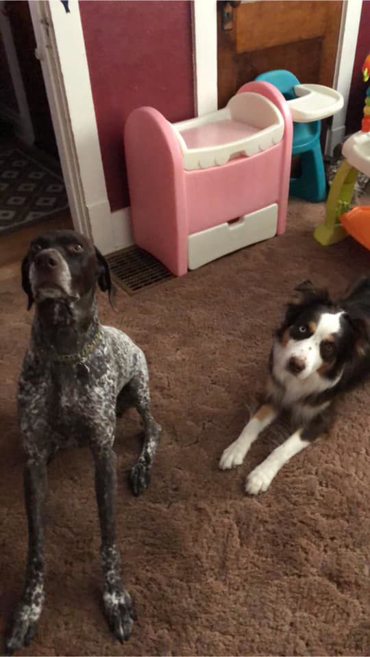 Jake and River - Tamiee Watkins-Palu.jpg